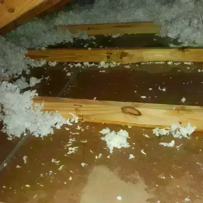 Attic Water Damage in Reedley, CA